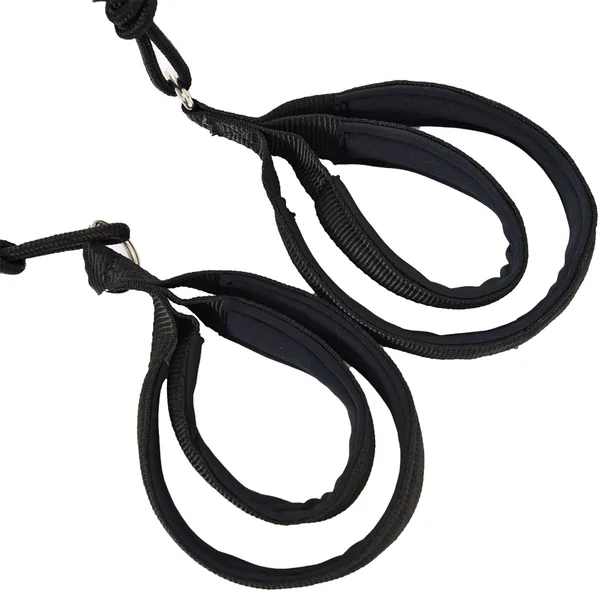 AeroPilates Pro Series Reformer 565