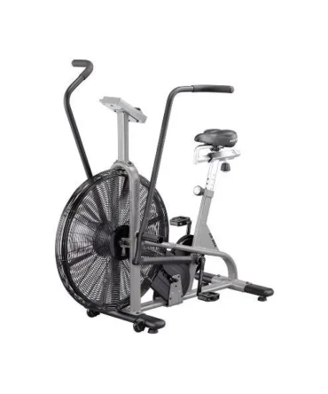 Assault AirBike Classic