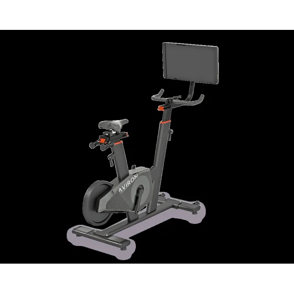 Aviron Fit Bike (Touring)