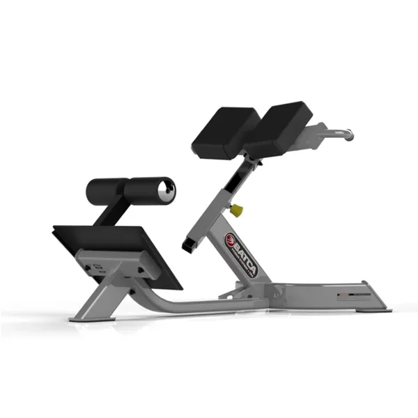 Batca FZ-8 45 Degree Back Extension