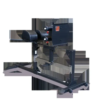 Body Solid Glute & Ham Machine | SGH500