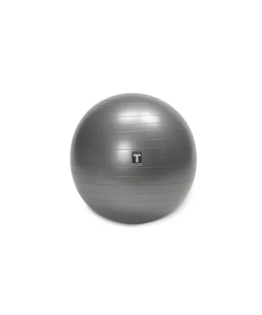 BODY-SOLID TOOLS 55cm GRAY STABILITY BALLS | BSTSB55
