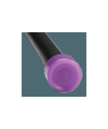 BODY-SOLID TOOLS 6lbs LIGHT PURPLE FITNESS BARS | BSTFB6