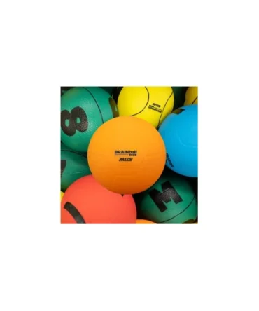 BRAINball™ Physical Education Cross-Curricular System