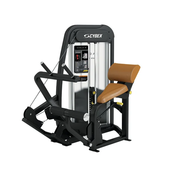 Cybex Eagle NX Back Extension