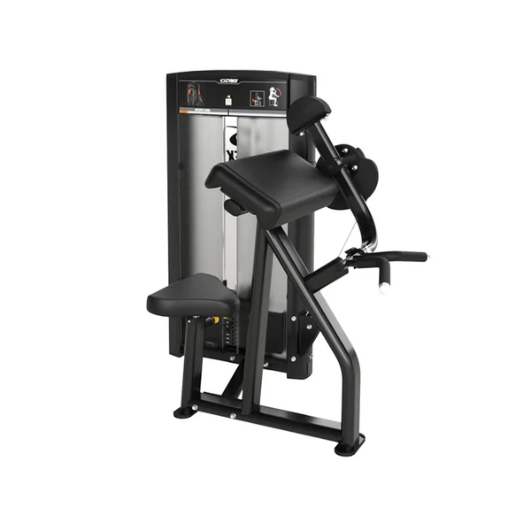 Cybex Ion Series Biceps Curl