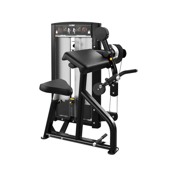 Cybex Ion Series Biceps / Triceps