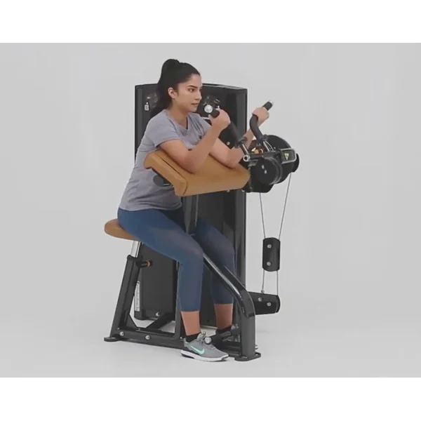 Cybex Ion Series Biceps / Triceps