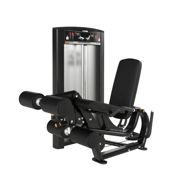 Cybex Ion Series Leg Curl / Extension