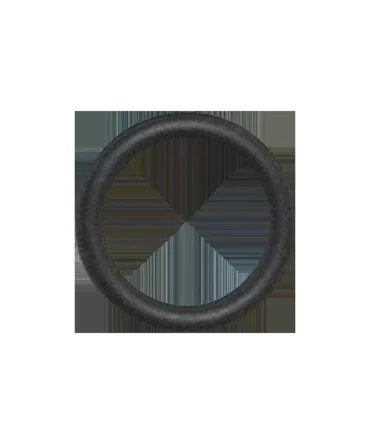 Duraflex Diving Board Replacement O-Ring – No. C210