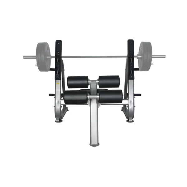 Fitness 1st Decline Bench Press with Olympic Weight Plate Storage