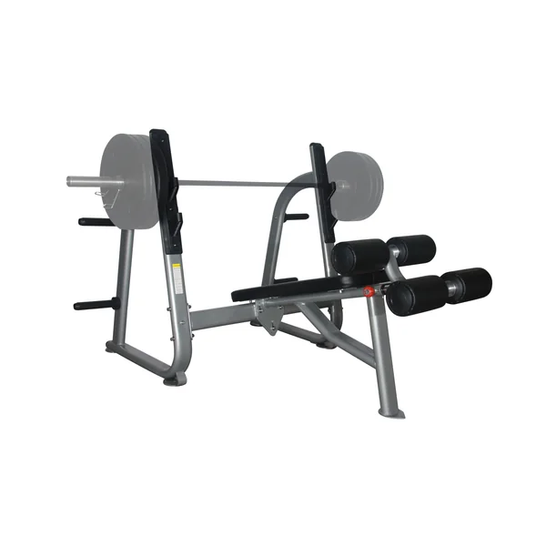 Fitness 1st Decline Bench Press with Olympic Weight Plate Storage