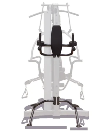 Fusion Vertical Knee-Raise / Dip Station