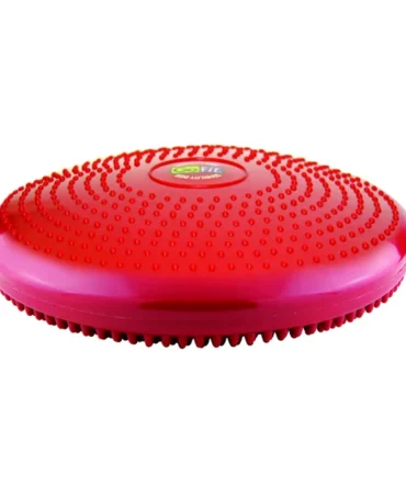 GoFit Core Stability and Balance Disk