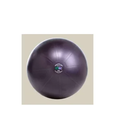 GoFit Professional Grade Burst Resistant Ball – 65CM Purple