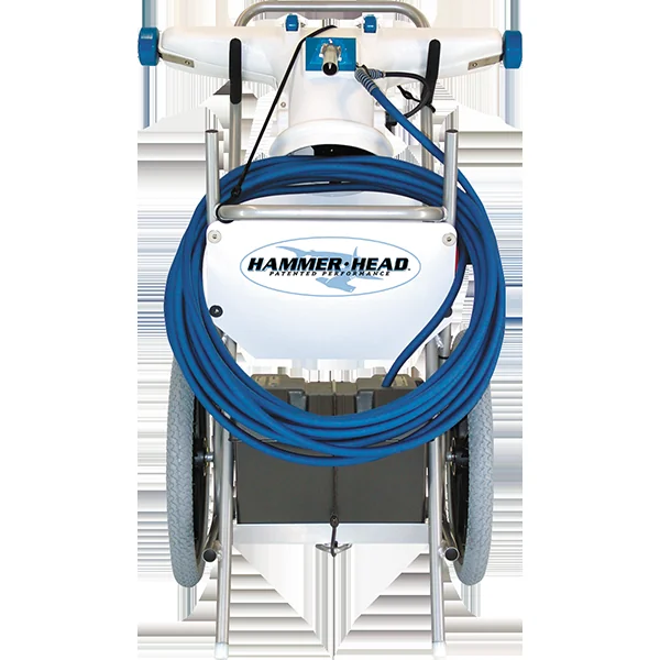 Hammer-Head Pool Cleaning System