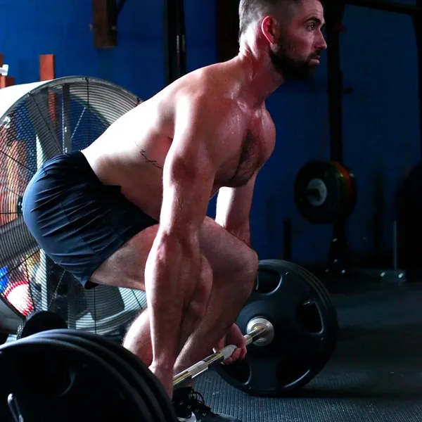 Hampton Olympic Bar Package