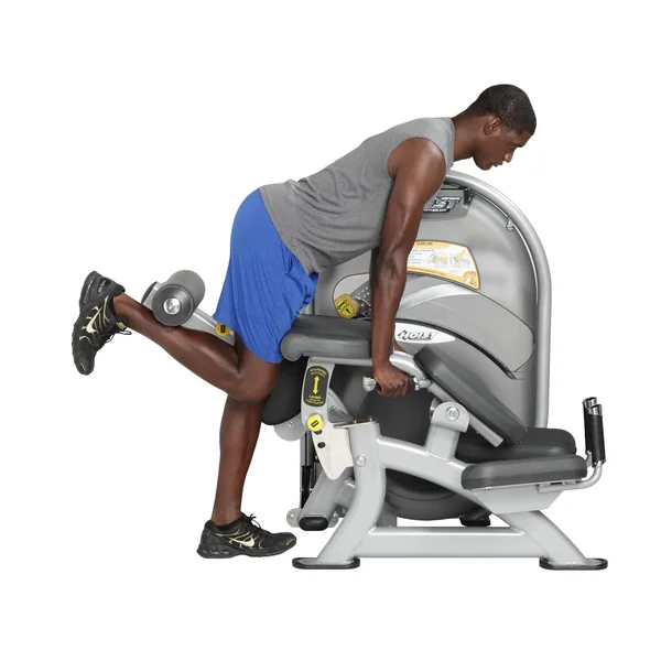 Hoist Fitness Standing / Prone Leg Curl CL-3408.New Call for Lowest Nation Wide Sale Price .