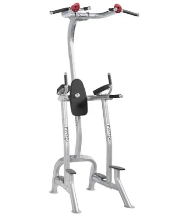 Hoist Fitness Tree CF-3962-A-New