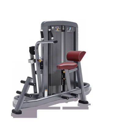 Life Fitness Insignia Abdominal Advanced