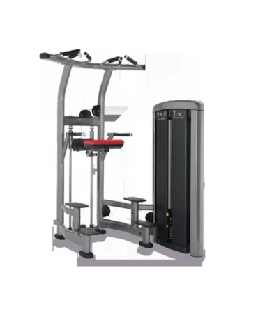 Life Fitness Insignia Assist Dip Chin