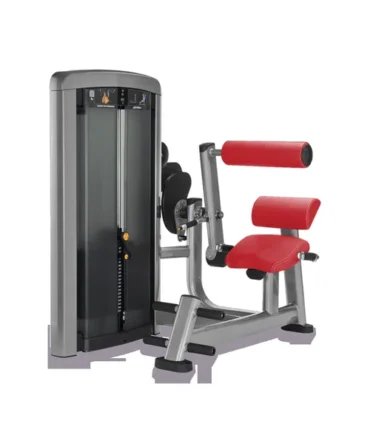 Life Fitness Insignia Back Extension