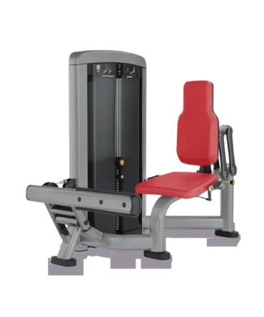 Life Fitness Insignia Calf Extension