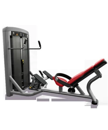 Life Fitness Insignia Glute Bridge