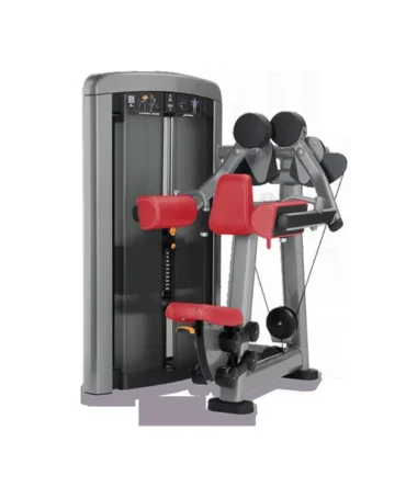 Life Fitness Insignia Lateral Raise