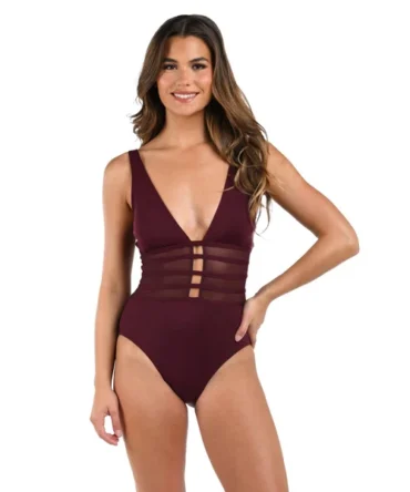 Mesh Plunge One Piece Swimsuit