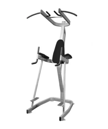 Muscle D Verticle Knee Raise With Pull Up Station