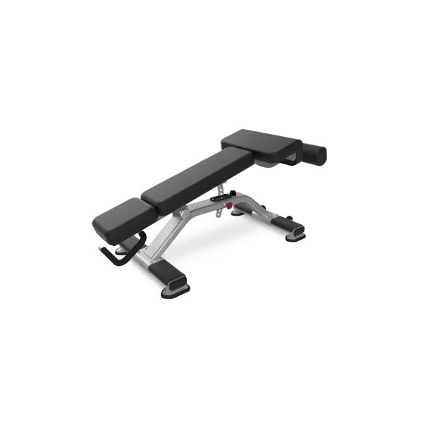 Nautilus Adjustable Decline Bench
