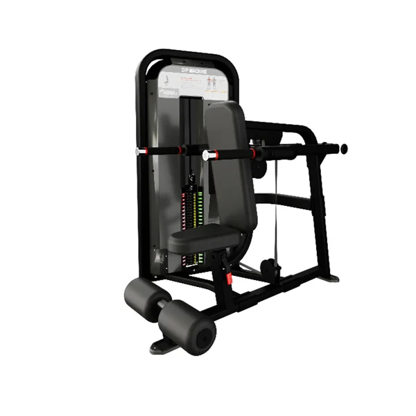 Nautilus Impact Dip Machine