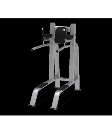 Nautilus Leg Raise /Dip Model 9NP-B7517