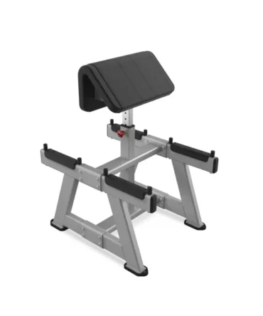 Nautilus Standing Preacher Curl
