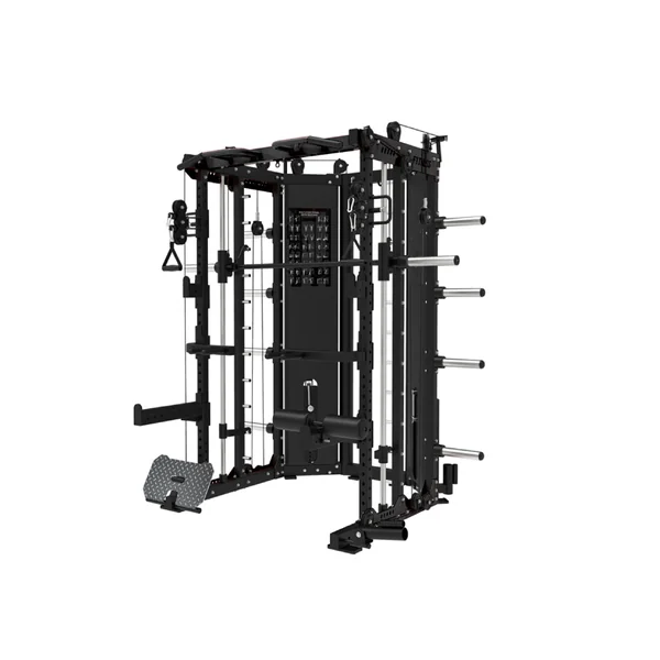 Paradigm DSHR-2S Pro