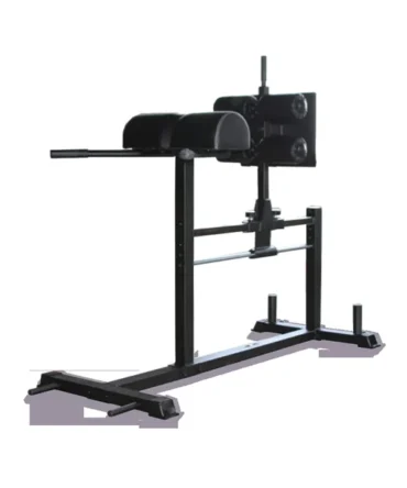 Paradigm Glute-Ham Developer