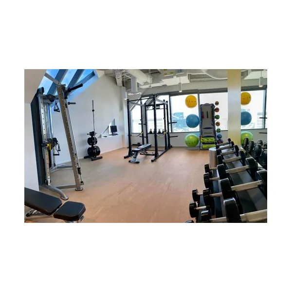 PaviFlex FitnessPro Rubber Flooring Tiles | Haya Marble