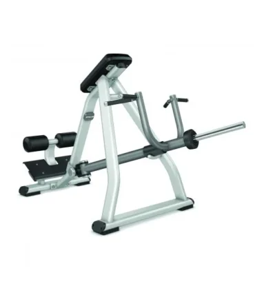 Precor Discovery™ Series Incline Lever Row DPL0311