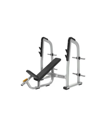 Precor Discovery™ Series Olympic Incline Bench DBR0410
