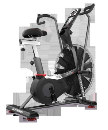 Schwinn Airdyne AD Pro