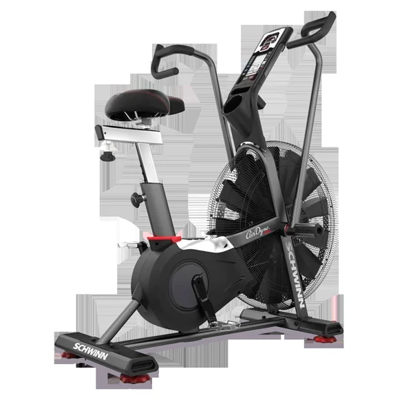 Schwinn Airdyne AD Pro