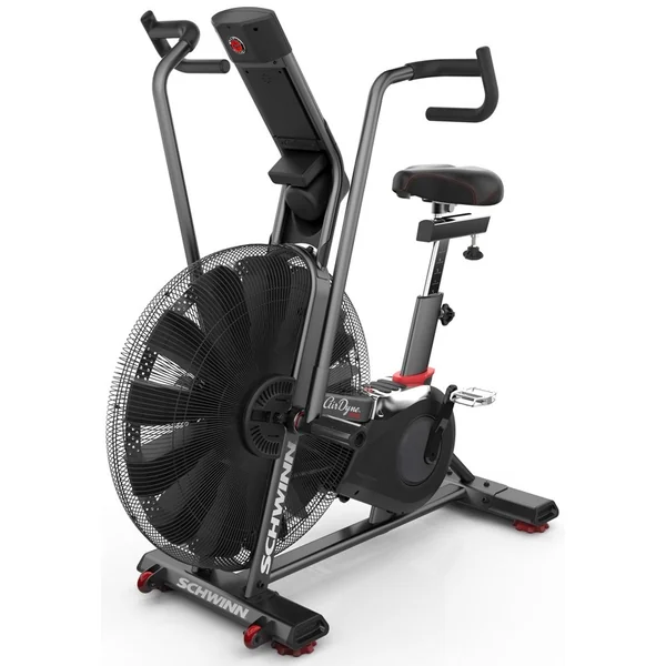 Schwinn Airdyne AD Pro