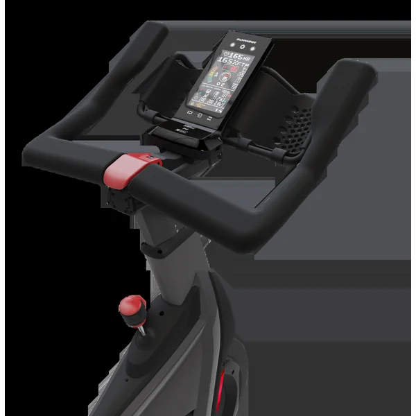 Schwinn Z Bike-New. #1 Schwinn Dealer In The Nation .Call Now For Lowest Blow Out Prices