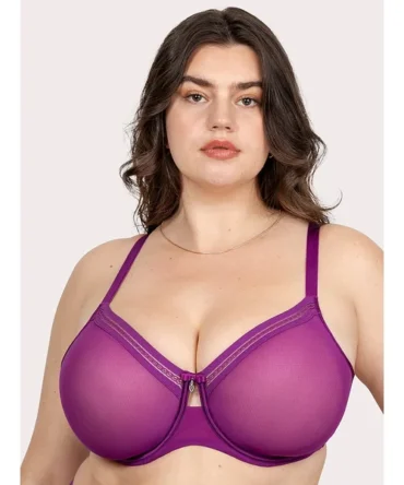 Sheer Mesh Full Coverage Unlined Underwire Bra