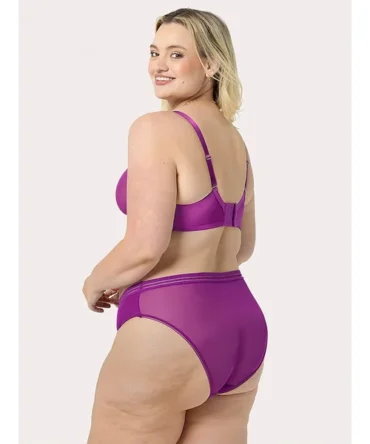 Sheer Mesh High-Leg Brief Panty