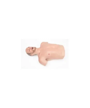 SIMBODIES® EMS-T Torso Trainer