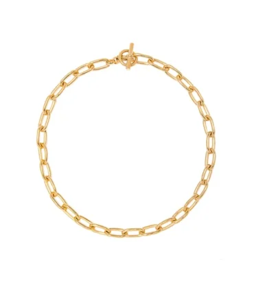 Small Gold Oval Chain Necklace