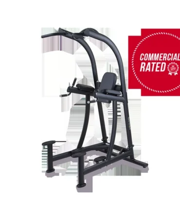 SportsArt A994 VKR Chin Dip Station