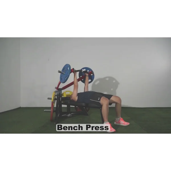 Steelflex Bench Press Machine (PLBP)